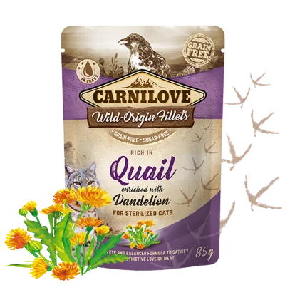 Carnilove cat pouches Rich in Quail enriched with Dandelion