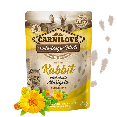 Carnilove cat pouches Rich in Rabbit enriched with Marigold ( For Kittens)